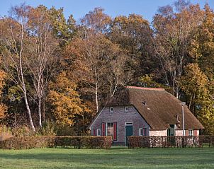 Charming vacation home in Den Ham, Twente, Overijssel, surrounded by autumn trees and rustic nature, ideal for a relaxing stay.