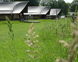 Verblijf 520461 - Tenthuis Twente - Safaritent