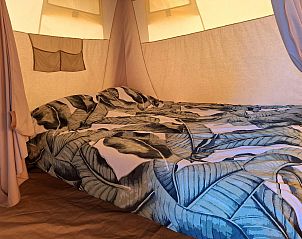 Verblijf 520462 - Tenthuis Twente - Safaritent