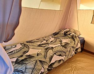 Verblijf 520462 - Tenthuis Twente - Safaritent