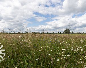 Guest house 520467 - Holiday property Twente - OV404