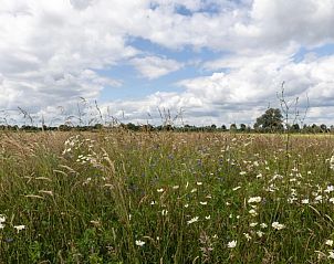 Unterkunft 520483 - Ferienhaus Twente - het Assenhoekje