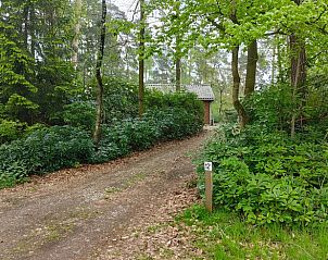 Guest house 520506 - Holiday property Twente - Huisje in de Lutte