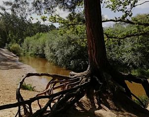 Guest house 520506 - Holiday property Twente - Huisje in de Lutte