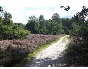 Guest house 520506 - Holiday property Twente - Huisje in de Lutte