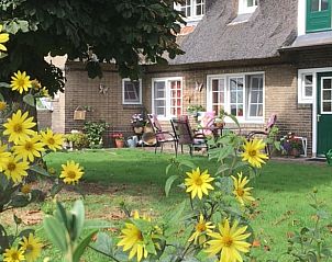 Unterkunft 520509 - Ferienhaus Twente - Huisje in De Lutte in Twente