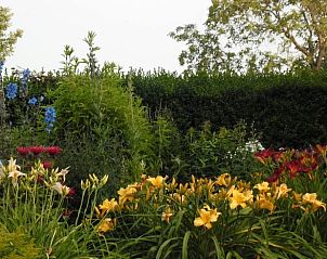 Unterkunft 520509 - Ferienhaus Twente - Huisje in De Lutte in Twente