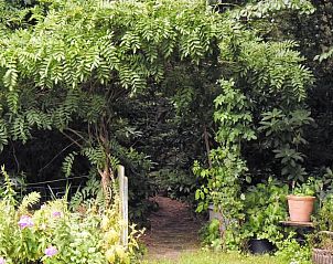 Unterkunft 520509 - Ferienhaus Twente - Huisje in De Lutte in Twente