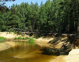Unterkunft 520509 - Ferienhaus Twente - Huisje in De Lutte in Twente
