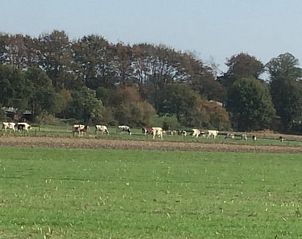 Unterkunft 520509 - Ferienhaus Twente - Huisje in De Lutte in Twente