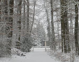 Unterkunft 520509 - Ferienhaus Twente - Huisje in De Lutte in Twente