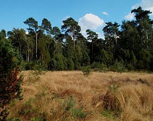 Unterkunft 520512 - Ferienhaus Twente - Huisje in de Lutte
