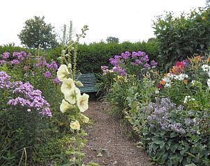 Unterkunft 520514 - Ferienhaus Twente - Huisje in De Lutte in Twente
