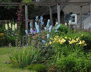 Unterkunft 520514 - Ferienhaus Twente - Huisje in De Lutte in Twente