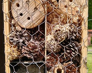 Unterkunft 520514 - Ferienhaus Twente - Huisje in De Lutte in Twente