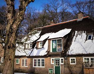Unterkunft 520514 - Ferienhaus Twente - Huisje in De Lutte in Twente