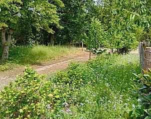 Guest house 520521 - Holiday property Twente - Vakantiehuis in de Lutte