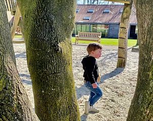 Guest house 520523 - Holiday property Twente - Vakantiehuis in de Lutte