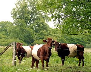 Guest house 520523 - Holiday property Twente - Vakantiehuis in de Lutte