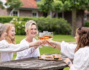 Guest house 520523 - Holiday property Twente - Vakantiehuis in de Lutte