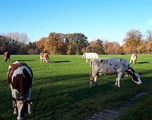 Unterkunft 520526 - Ferienhaus Twente - Vakantiehuis in de Lutte