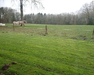 Unterkunft 520526 - Ferienhaus Twente - Vakantiehuis in de Lutte