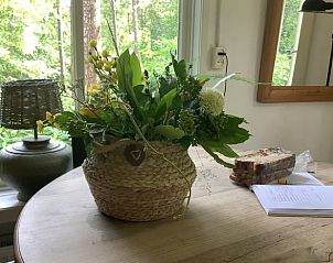 Guest house 520529 - Holiday property Twente - Vakantiehuis in de Lutte