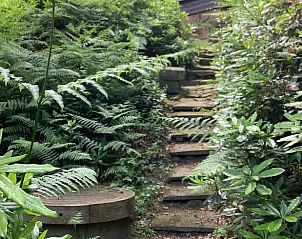 Guest house 520529 - Holiday property Twente - Vakantiehuis in de Lutte