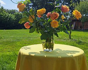 Unterkunft 520541 - Ferienhaus Twente - Huisje in de Lutte