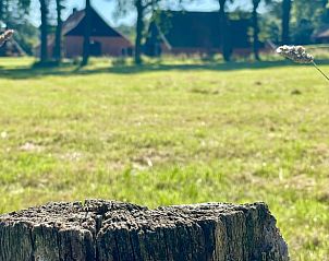 Guest house 520550 - Holiday property Twente - Huisje in de Lutte