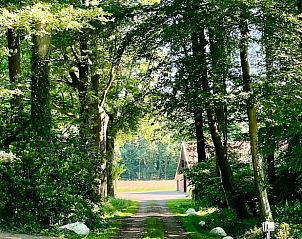 Guest house 520550 - Holiday property Twente - Huisje in de Lutte