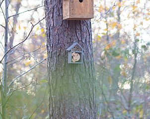 Unterkunft 520553 - Ferienhaus Twente - Vakantiehuisje in de Lutte