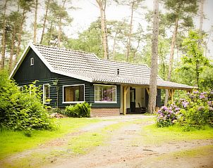 Ferienhaus in De Lutte, Gemeinde Losser, umgeben von grner Natur in Twente, Overijssel. Ideal fr einen erholsamen Aufenthalt in den Wldern.