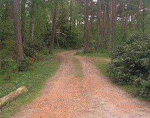Unterkunft 520556 - Ferienhaus Twente - Vakantiehuisje in De Lutte, gemeente Losser