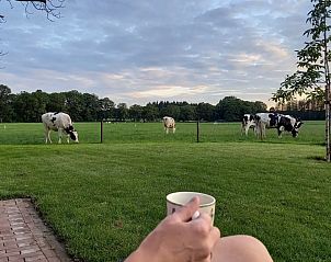 Verblijf 520565 - Vakantiewoning Twente - Erve Beertke