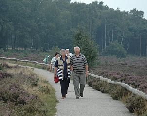 Wandelen door de heide nabij Vakantiehuis in Wierden, ontdek de natuur van Twente, Overijssel.