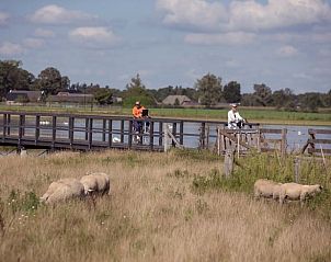 Fietsen langs het water bij Vakantiehuis in Wierden, geniet van het landschap in Twente, Overijssel.