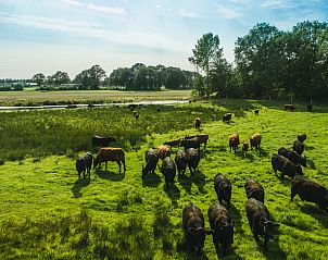 Uitgestrekt weiland bij Vakantiehuis in Wierden, rust en ruimte in Twente, Overijssel.