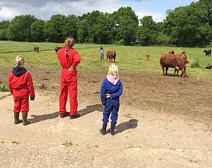 Kinderen in overall observeren koeien bij Vakantiehuis in Wierden, Twente, perfect voor een boerderijvakantie.
