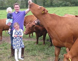 Vader en kinderen tussen koeien bij Vakantiehuis in Wierden, Twente voor een boerderijavontuur.