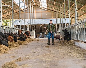 Boer verzorgt koeien in de stal bij Vakantiehuis in Wierden, Twente, ideaal voor agrarische liefhebbers.