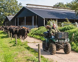 Boer op quad met koeien bij Vakantiehuis in Wierden, Twente, ideaal voor natuurliefhebbers.