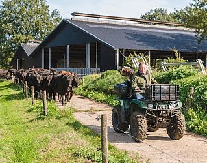 Verblijf 520704 - Vakantiewoning Twente - Erve Woolderink