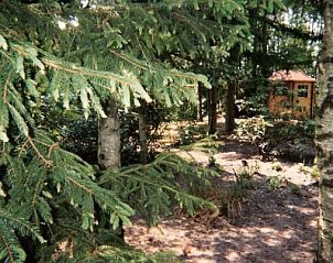 Wooded surroundings of Recreatiepark Noordikhoeve in Reutum, Twente, Overijssel. Beautiful nature and serene atmosphere.