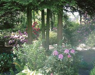 Flowering garden at Recreatiepark Noordikhoeve in Reutum, Twente, Overijssel. Enjoy colorful flowers and fresh air.