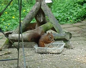 Unterkunft 520820 - Ferienhaus Twente - Mapadodo