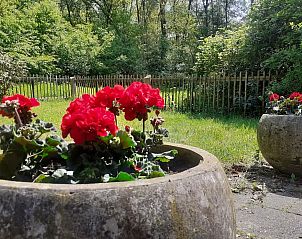 Unterkunft 520834 - Bungalow Twente - Zonneheuvel