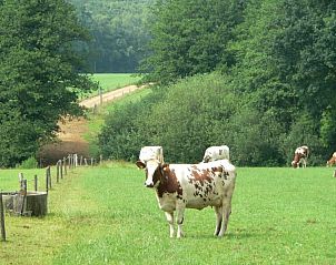 Verblijf 520906 - Vakantiewoning Twente - de Witker