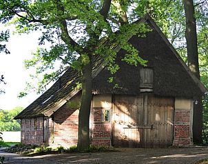 Traditioneel vakantiehuis Huisje in Hezingen met rieten dak in het bosrijke Twente, Overijssel.
