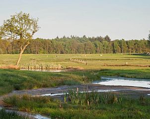 Prachtig uitzicht op groene velden rondom vakantiehuisje in Hezingen, Twente.